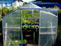 The greenhouse is now better than ever!